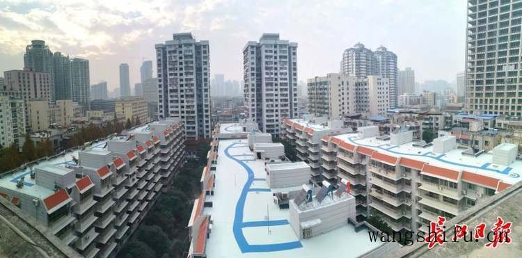 山海带（山海带植物）