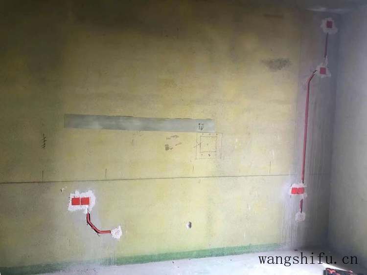 见血封喉（见血封喉树）