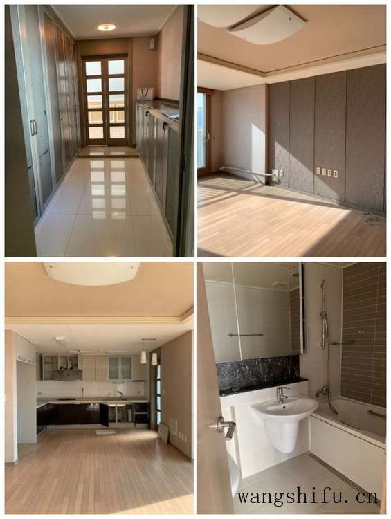 老鹰茶（老鹰茶的功效和作用）