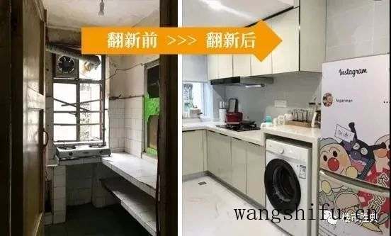 葱莲（葱莲的图片）