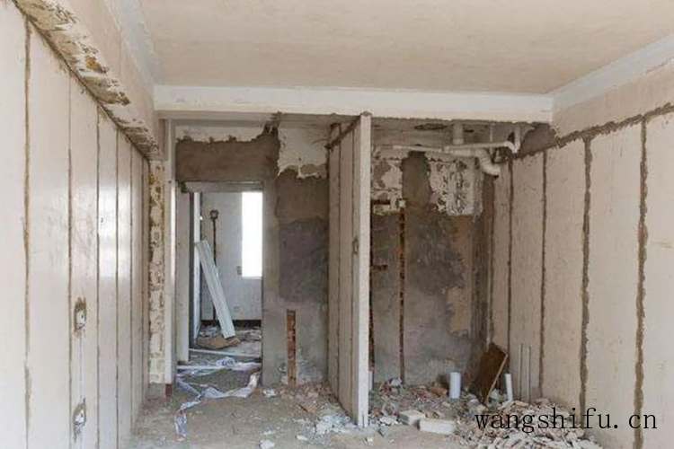 生石花最贵哪个品种（生石花最贵哪个品种好）