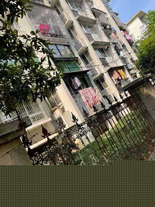 榨汁杯哪个牌子（榨汁杯哪个牌子好）