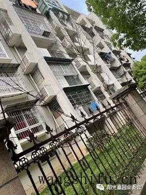 阳光嘉园2022老旧小区改造再出发 旧房翻新 第9张 阳光嘉园2022老旧小区改造再出发 旧房翻新 粉刷匠第9张