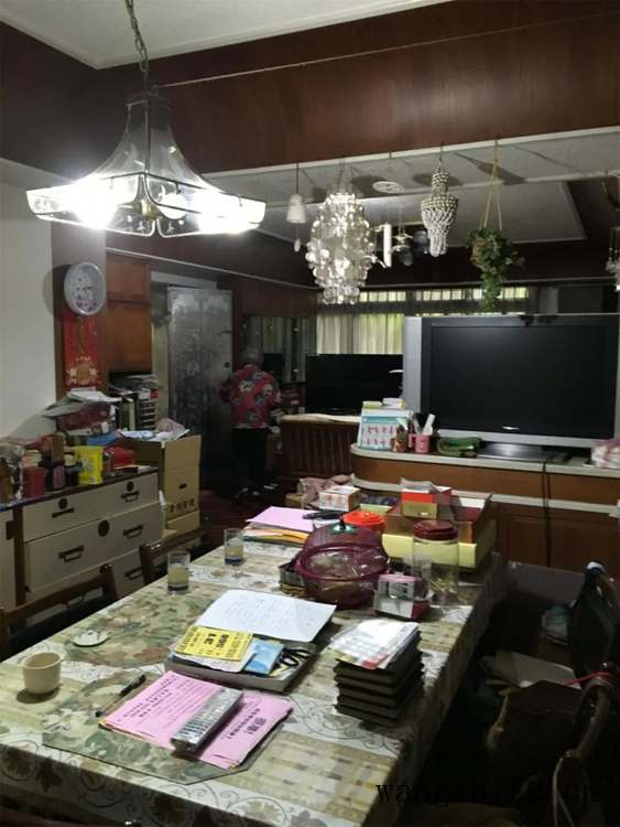 白网纹草（白网纹草的养殖方法和注意事项）