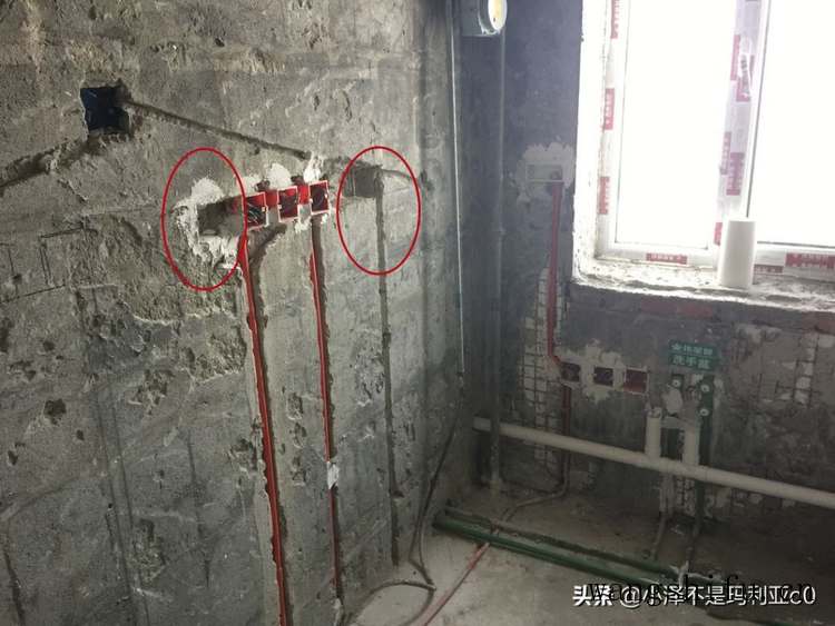 南美北美樱桃木 哪个贵（南美北美樱桃木哪个贵价格）