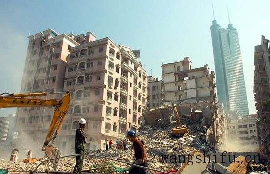 碧玉兰（碧玉兰花图片）