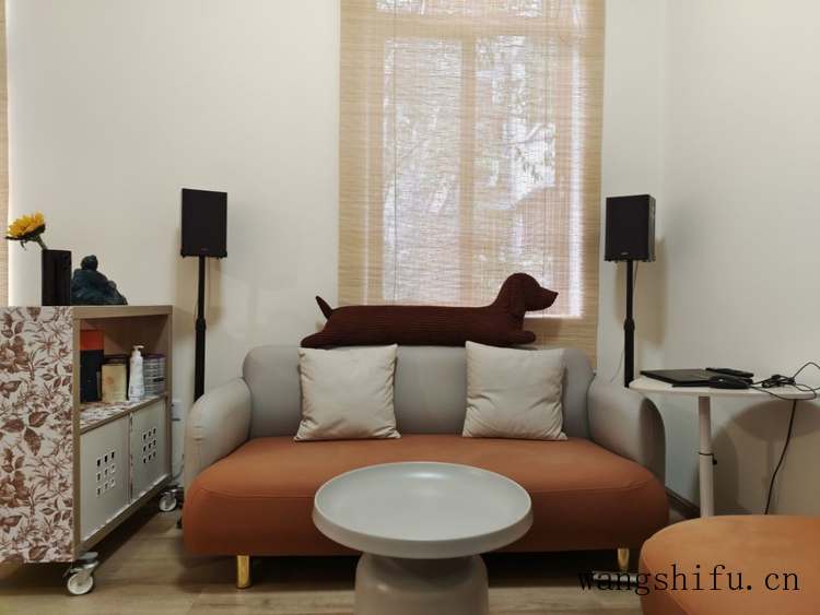 蒸汽清洁机好用吗（蒸汽清洁机好用吗有使过的吗）