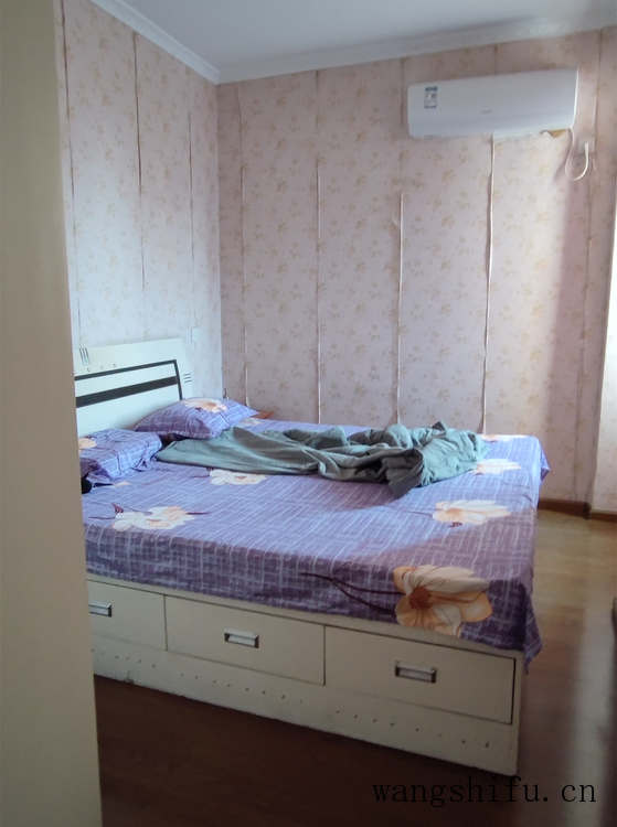 金钻（金钻的养殖方法和注意事项）