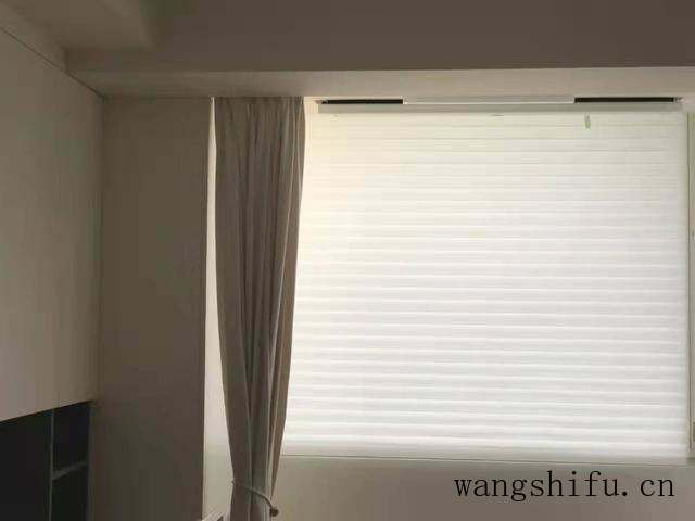 曼佗罗花（曼陀罗花图片）