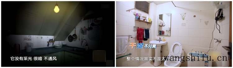 庭院风水（庭院风水旺财布局）