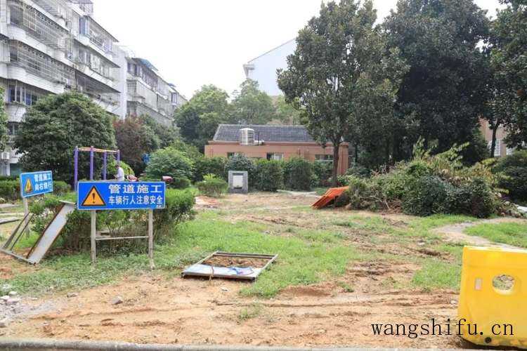 八宝景天（八宝景天的功效与作用）