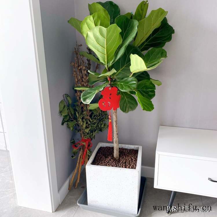 90平新房硬装花了11W，装修北欧风格真漂亮，通风三个月入住啦 旧房翻新 第7张 90平新房硬装花了11W，装修北欧风格真漂亮，通风三个月入住啦 旧房翻新 粉刷匠第7张