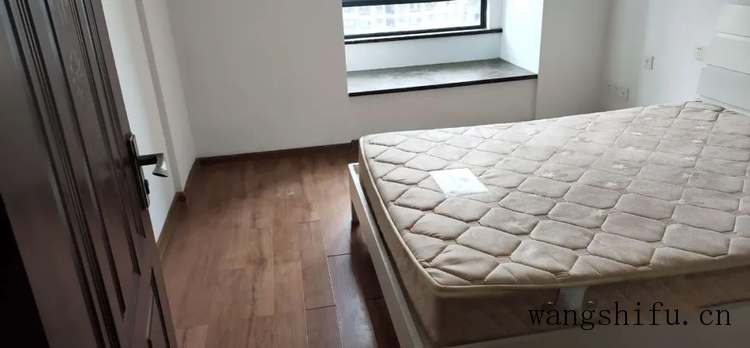 球松（球松多肉的养殖方法和注意事项）