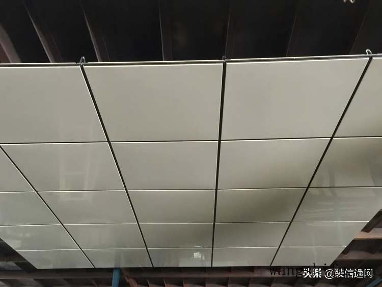 红运当头（红运当头的养殖方法和注意事项陶宝什么花可以浇脾久）