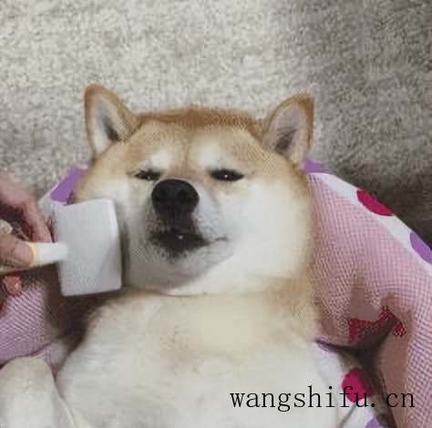 新的面包机怎样清洁（新的面包机怎样清洁 美女）