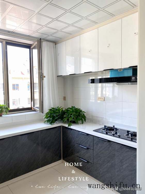 白花小松(白花小松多肉) 白花小松(白花小松多肉)