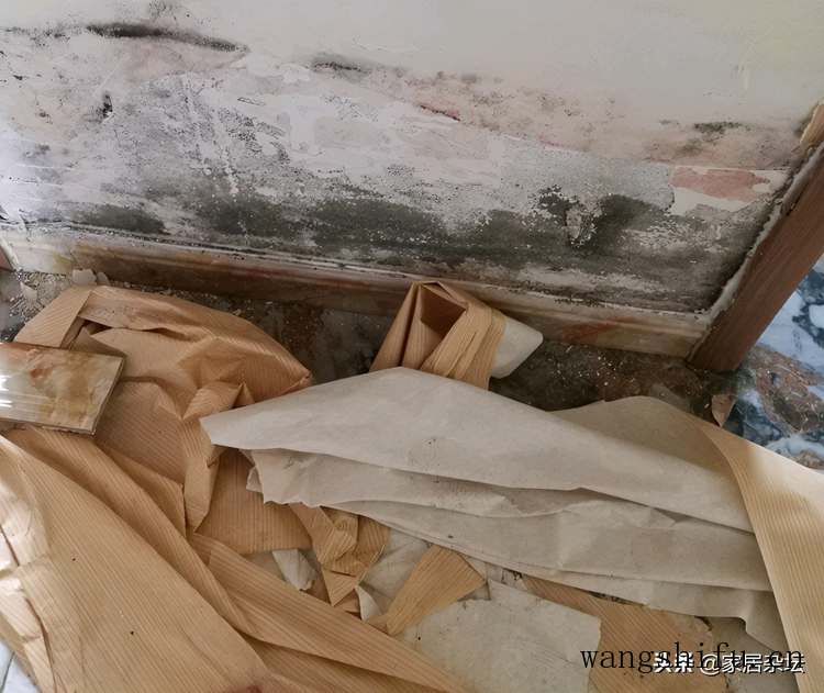 一楼房子潮湿，别着急装修，有3种方法要提前了解 旧房翻新 第1张 一楼房子潮湿，别着急装修，有3种方法要提前了解 旧房翻新 粉刷匠第1张