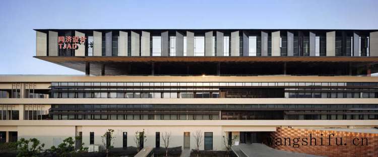 月兔耳（月兔耳的养殖方法和注意事项）