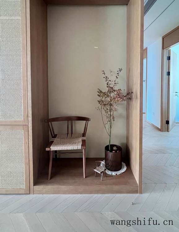 大叶落地生根（大叶落地生根为什么不吉利）