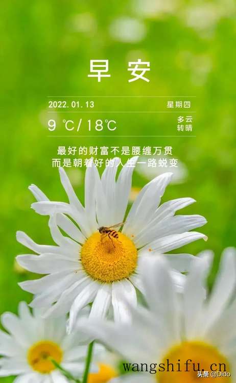 1.13周四早安,认真工作和努力生活,绝对不是为了做给别人看 旧房翻新 第3张 1.13周四早安,认真工作和努力生活,绝对不是为了做给别人看 旧房翻新 粉刷匠第3张 1.13周四早安,认真工作和努力生活,绝对不是为了做给别人看 旧房翻新 第3张 1.13周四早安,认真工作和努力生活,绝对不是为了做给别人看 旧房翻新 粉刷匠第3张