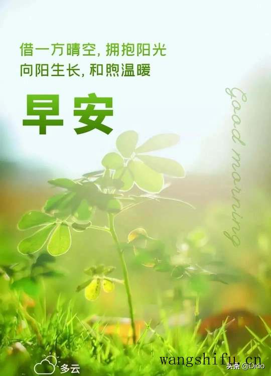 1.13周四早安,认真工作和努力生活,绝对不是为了做给别人看 旧房翻新 第4张 1.13周四早安,认真工作和努力生活,绝对不是为了做给别人看 旧房翻新 粉刷匠第4张 1.13周四早安,认真工作和努力生活,绝对不是为了做给别人看 旧房翻新 第4张 1.13周四早安,认真工作和努力生活,绝对不是为了做给别人看 旧房翻新 粉刷匠第4张