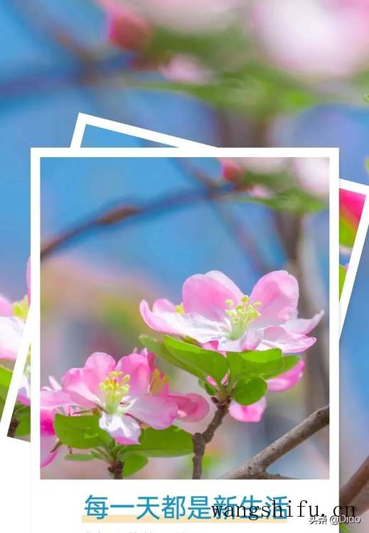 3.14周一早安，生命很短，愿你不必行色匆匆，只需快乐着 旧房翻新 第2张 3.14周一早安，生命很短，愿你不必行色匆匆，只需快乐着 旧房翻新 粉刷匠第2张