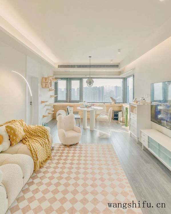 金纽仙人鞭（金纽仙人鞭图片）