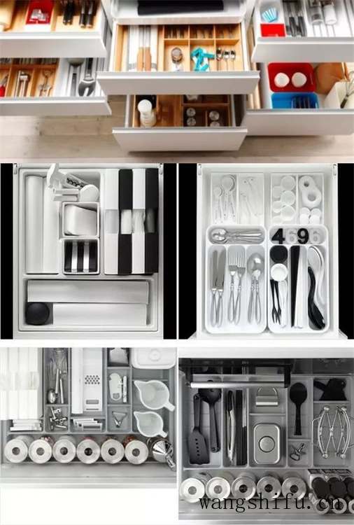 金边龙舌兰（金边龙舌兰的功效与作用）