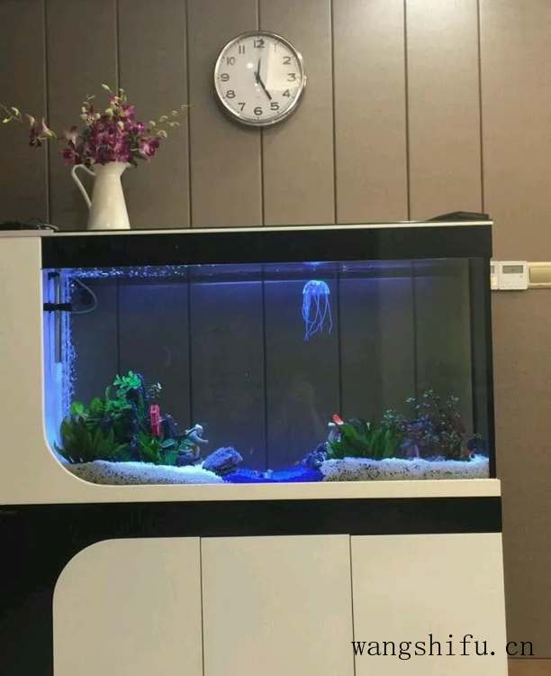 朋友这套140平新房，这效果说装修带家具家电60万，你们信吗？（140平装修加家具家电多少钱）