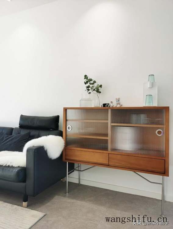 孔雀木（孔雀木的养殖方法和注意事项）