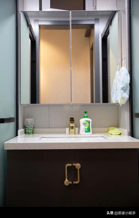 松霞（松霞仙人球）