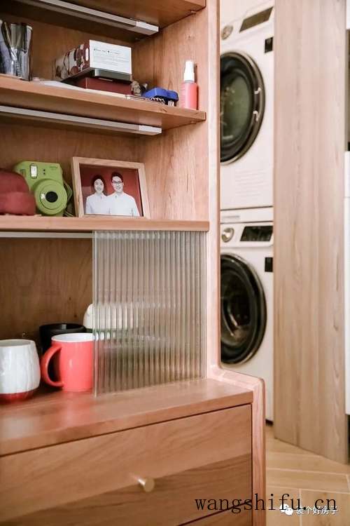 非洲菊（非洲菊的花语和寓意）