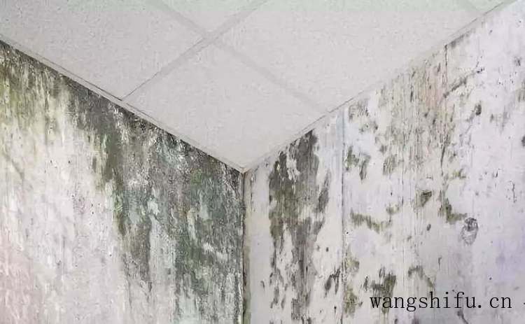 为什么大多数人都选择装修公司,不选游击队,以我的血泪史告诉你 旧房翻新 第9张 为什么大多数人都选择装修公司,不选游击队,以我的血泪史告诉你 旧房翻新 粉刷匠第9张 为什么大多数人都选择装修公司,不选游击队,以我的血泪史告诉你 旧房翻新 第9张 为什么大多数人都选择装修公司,不选游击队,以我的血泪史告诉你 旧房翻新 粉刷匠第9张