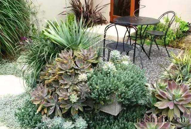 ​20㎡小院如何装修？推荐几个小庭院设计案例，有你喜欢的那款吗