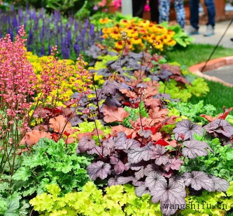 ​20㎡小院如何装修？推荐几个小庭院设计案例，有你喜欢的那款吗