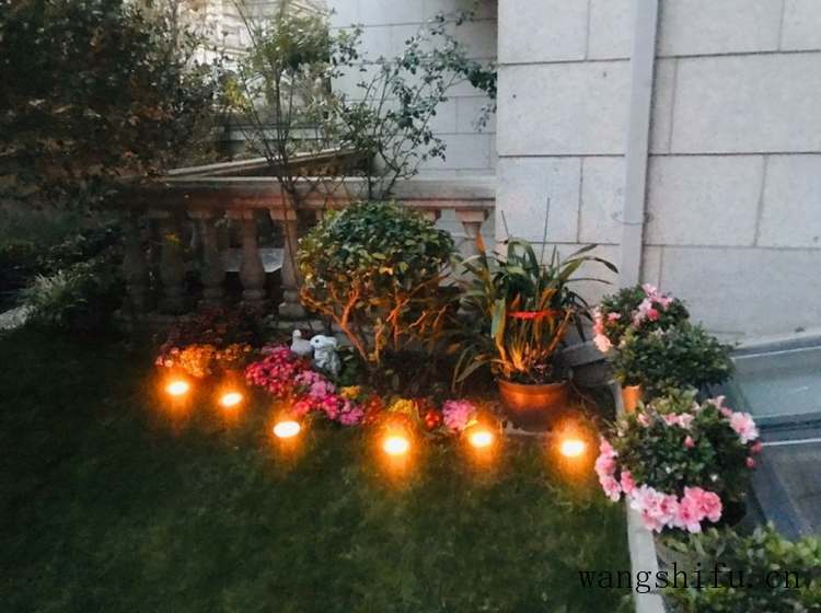 ​20㎡小院如何装修？推荐几个小庭院设计案例，有你喜欢的那款吗