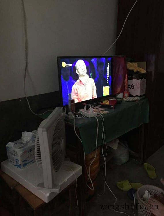 哪个品种鹤望兰最好看（哪个品种鹤望兰最好看图片）