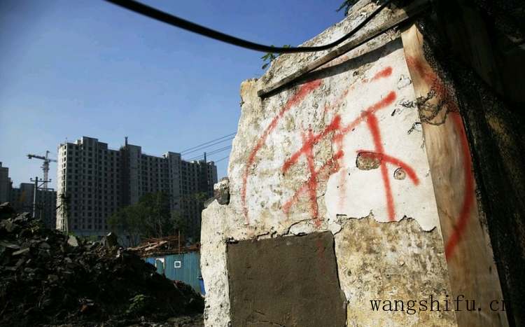 莲花掌(莲花掌的养殖方法和注意事项) 莲花掌(莲花掌的养殖方法和注意事项)