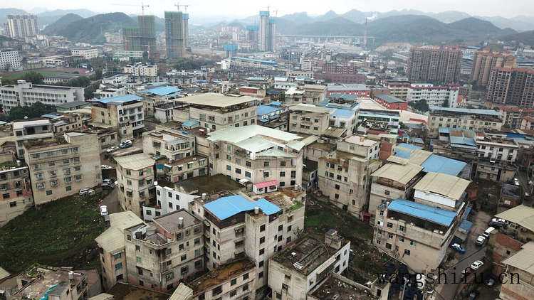 鱼尾葵(鱼尾葵果实能吃吗) 鱼尾葵(鱼尾葵果实能吃吗)