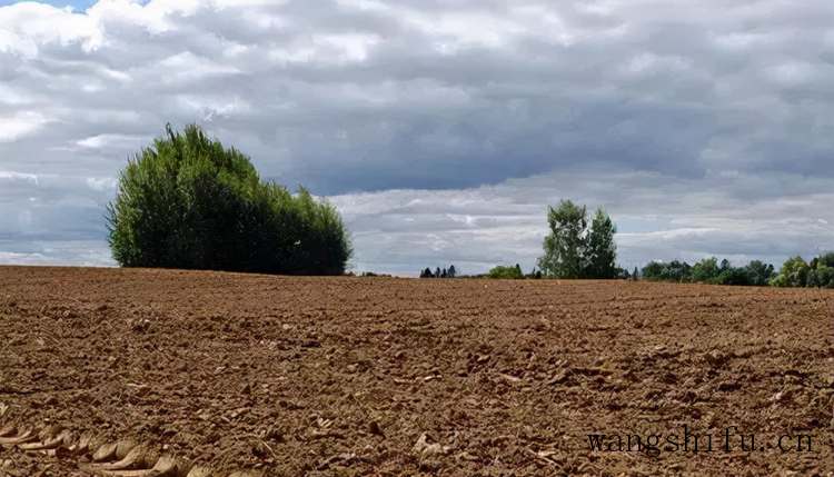你不知道的旧墙翻新技巧