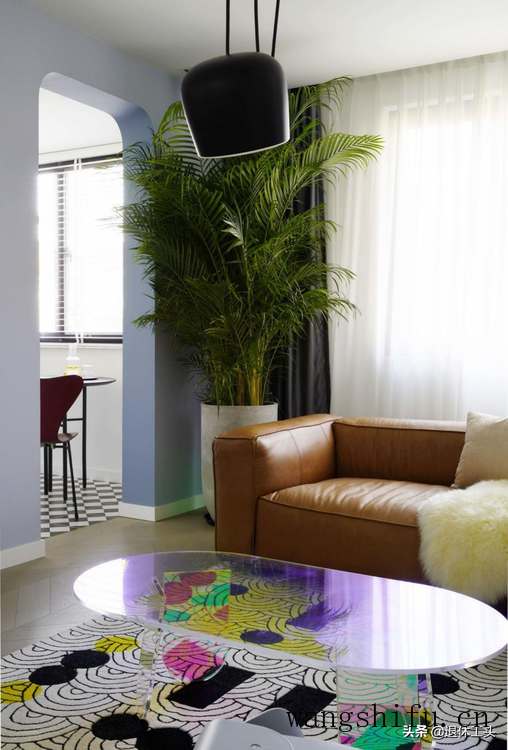 花叶木薯（花叶木薯的功效与作用）