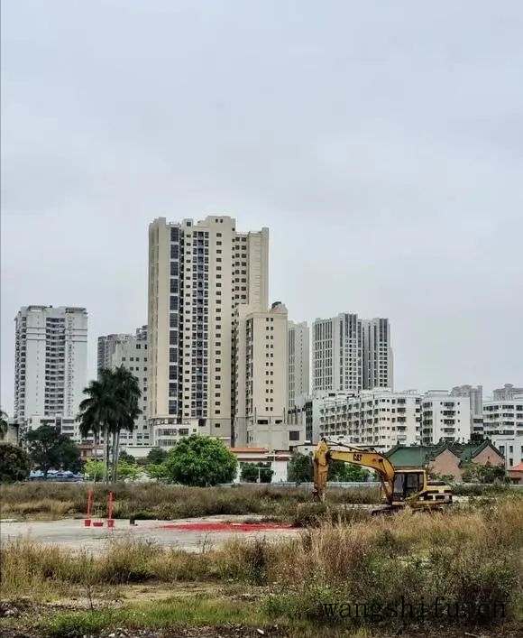 为了家人健康我选择墙衣