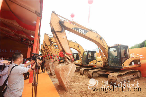 熊童子白锦（熊童子白锦图片）