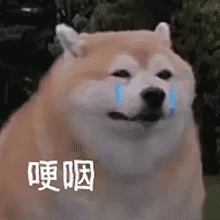 测甲醛的仪器哪个牌子好（测甲醛的仪器哪个牌子好,多少钱?）