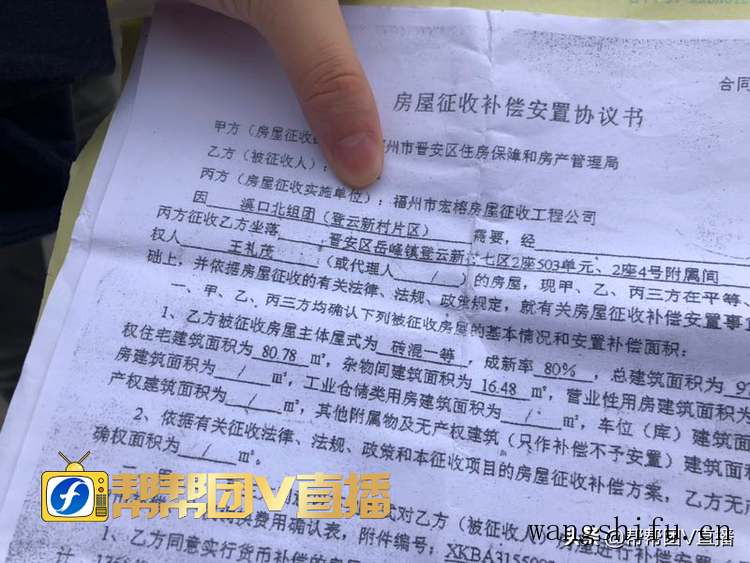 绿萝的哪个品种好（绿萝的哪个品种好养）