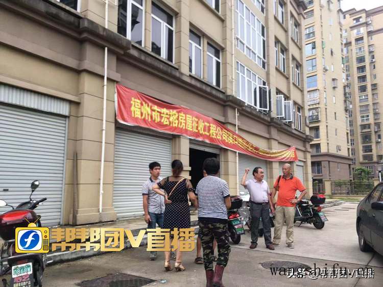 熊虎山与汇泰龙哪个好（熊虎山与汇泰龙哪个好玩）