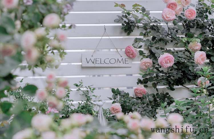 内墙粉刷一般占建筑面积多少