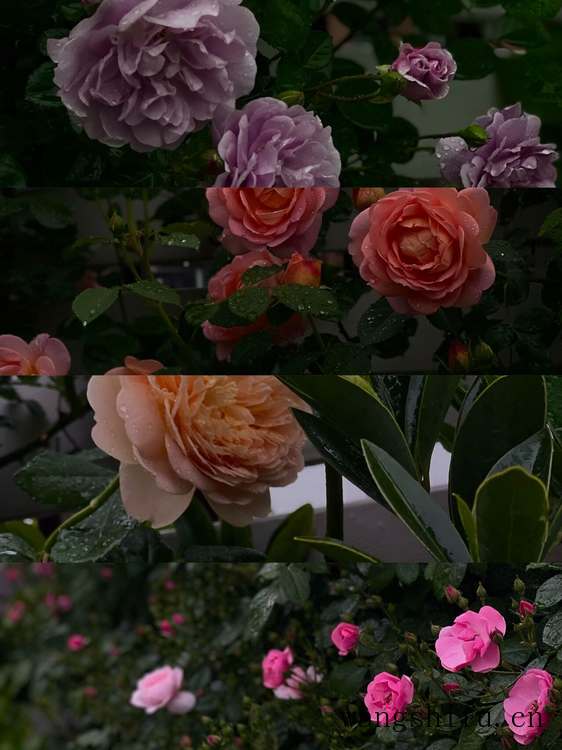 空调开哪个风速合适（空调开哪个风速合适省电）