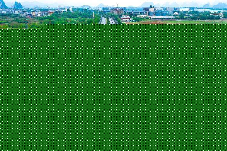 一品红（一品红人小说免费阅读全文）