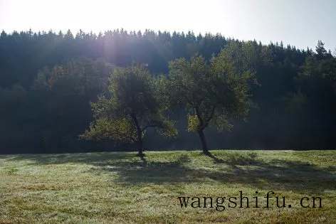 老旧建筑改造｜乡村住房改造设计